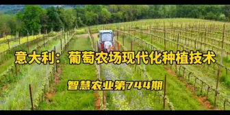 Download Video: 意大利：葡萄农场现代化种植技术