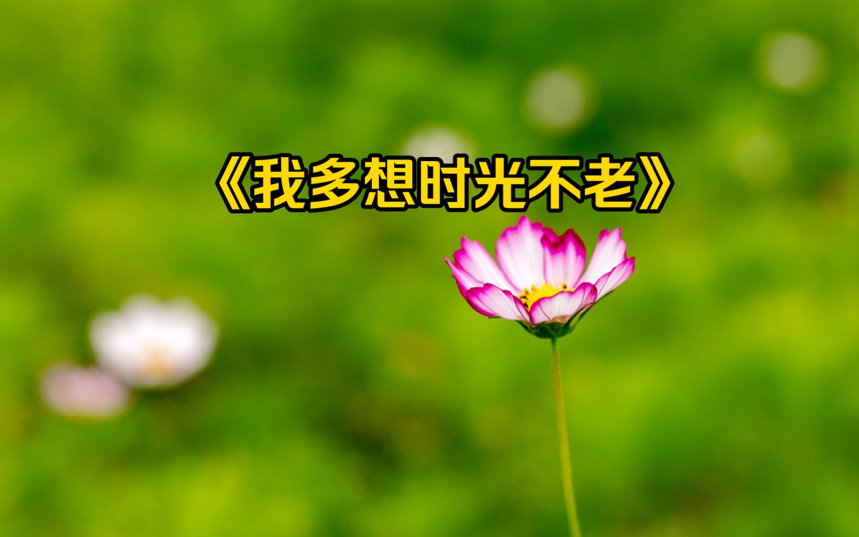 我多想时光不老