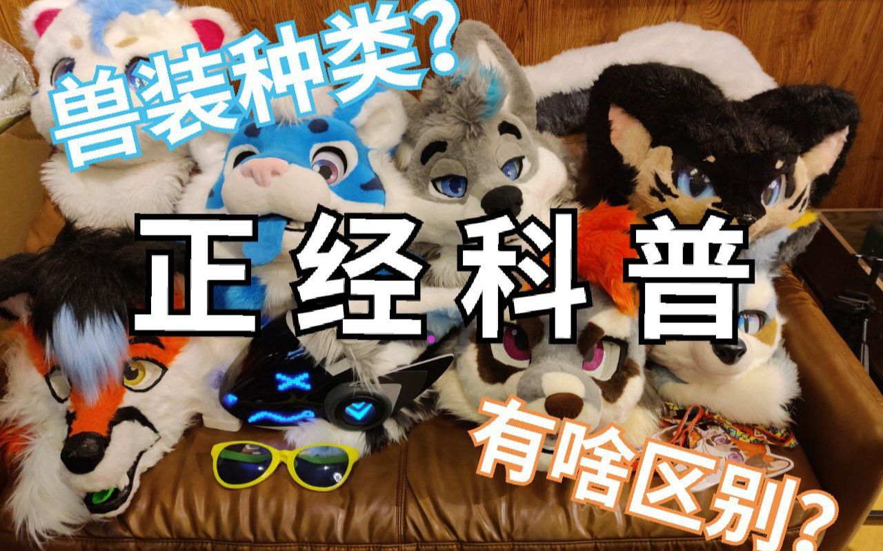 【Furry科普】兽装种类大科普!_哔哩哔哩_bilibili