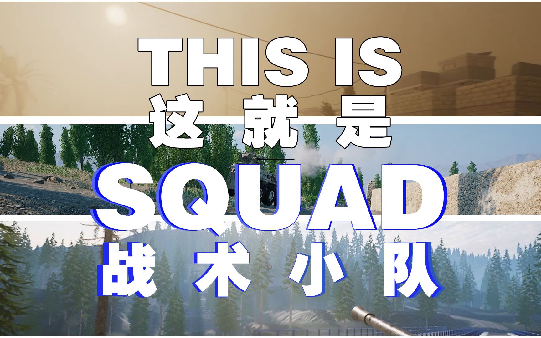 SQUAD【This is Squad】这就是丝瓜, 200多G的录像告诉你 我为什么玩丝瓜.哔哩哔哩bilibili