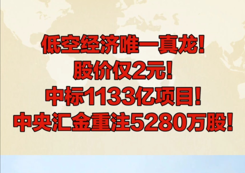 低空经济唯一真龙!股价仅2元,中标1133亿项目,中央汇金重注5280万股!哔哩哔哩bilibili