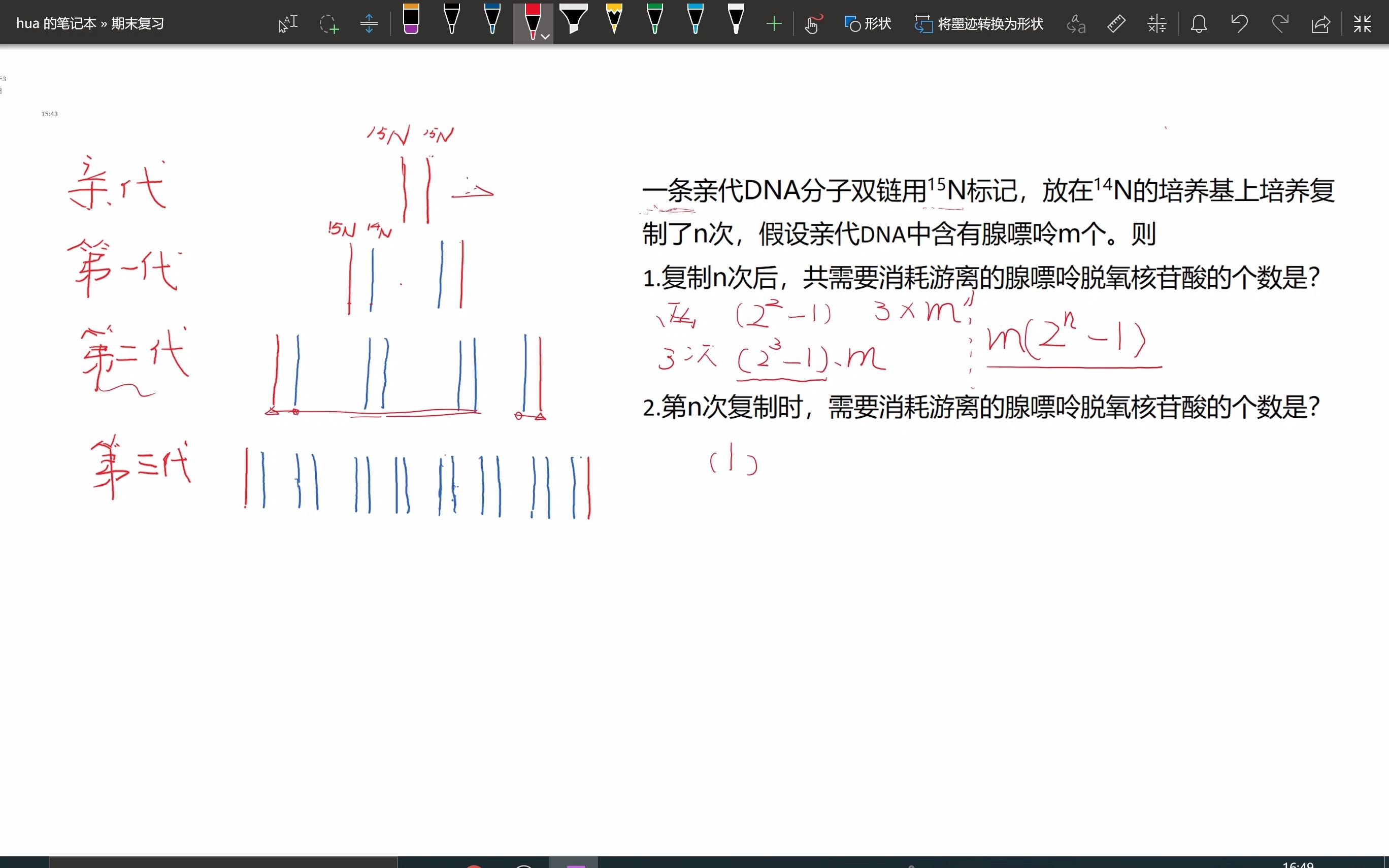 DNA复制的计算2哔哩哔哩bilibili