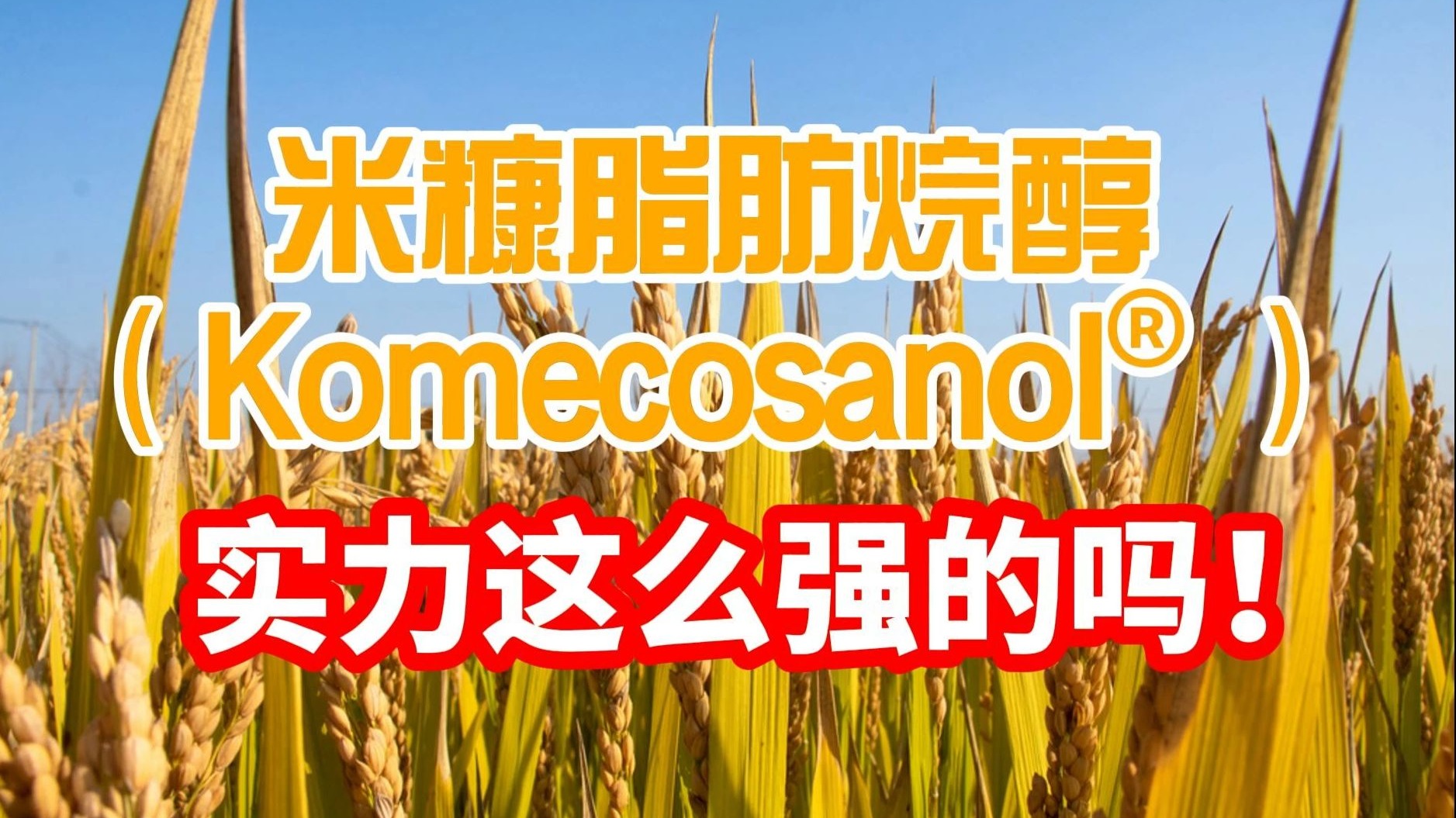 米糠脂肪烷醇Komecosanol®实力这么强吗！