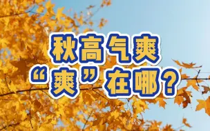 Download Video: 秋高气爽 “爽”在哪？