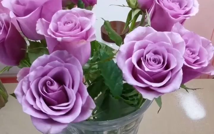 【干花制作】做一束紫霞仙子玫瑰的干花