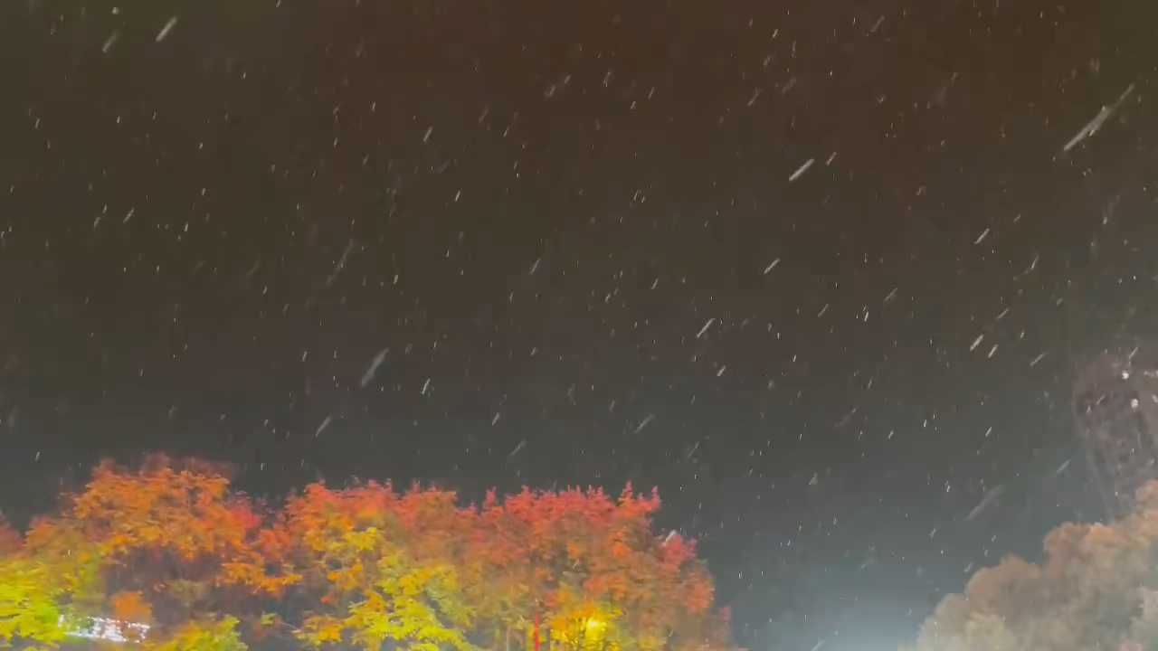 [图]风雪夜归人 宜昌下雪啦