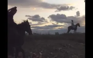 陳宮公臺 搜索结果 哔哩哔哩 Bilibili