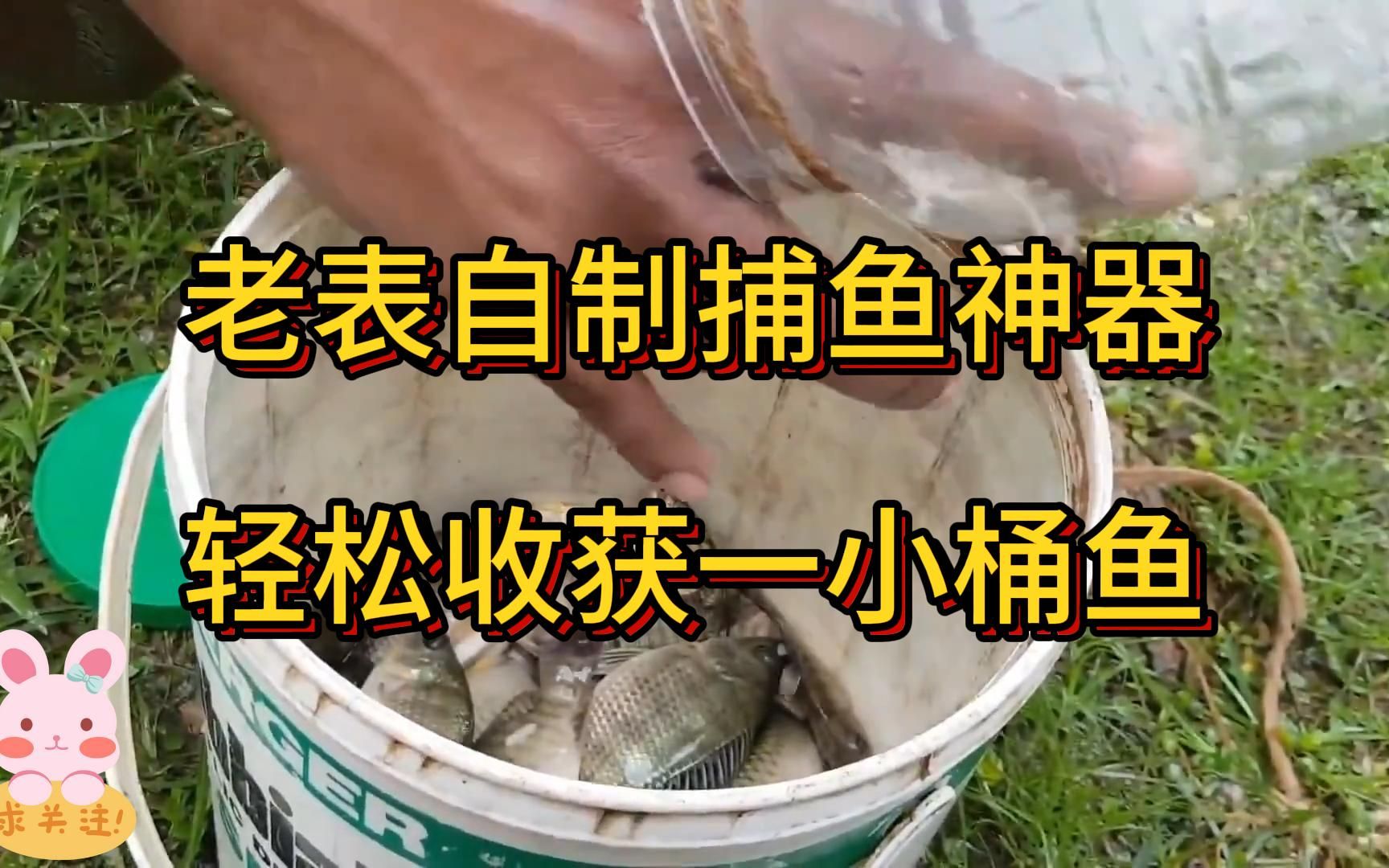 老表自制捕魚神器,輕鬆收穫一桶魚