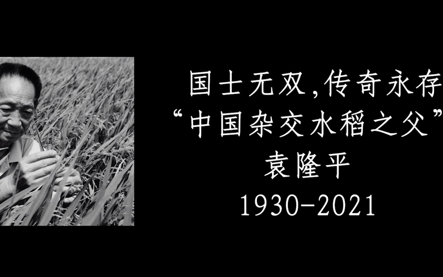 [图]他一生献给一片土地，只为坚守一个梦想，他坚信有一粒种子可以改变世界。国士无双，送别袁老。让我们一起缅怀，纪念！