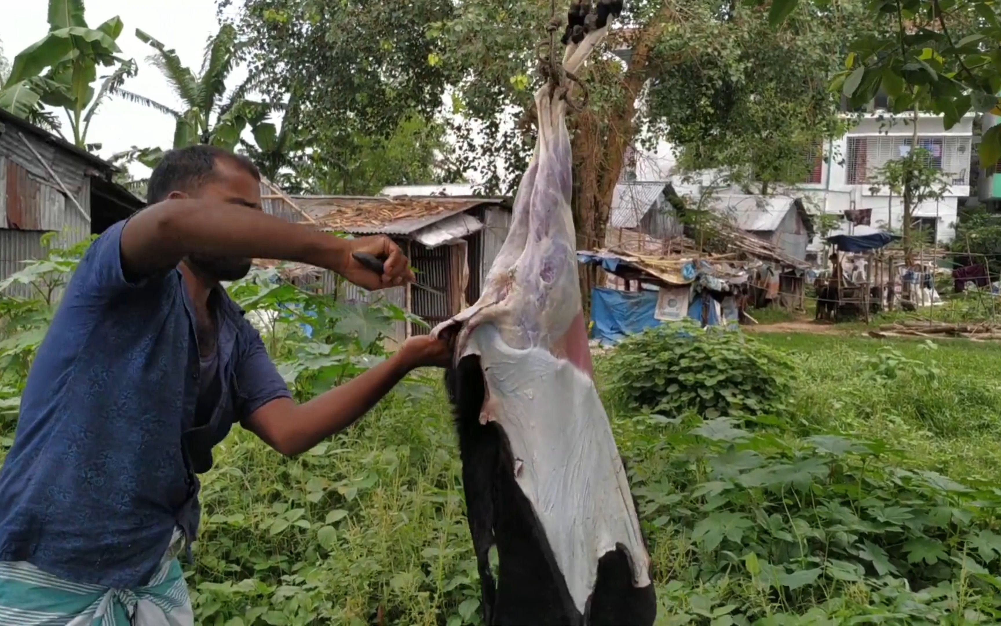 活动  大哥剥羊皮技术没得说!剥一只40斤羊只需6分钟,这手艺给300不亏