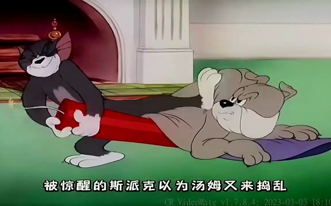 来自斯派克的压迫感,汤姆最后怀疑猫生.