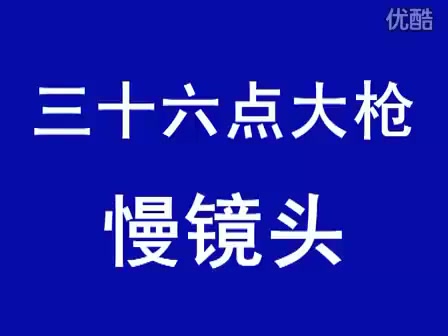 [图]北京三皇炮捶 名师 演练三十六点大枪