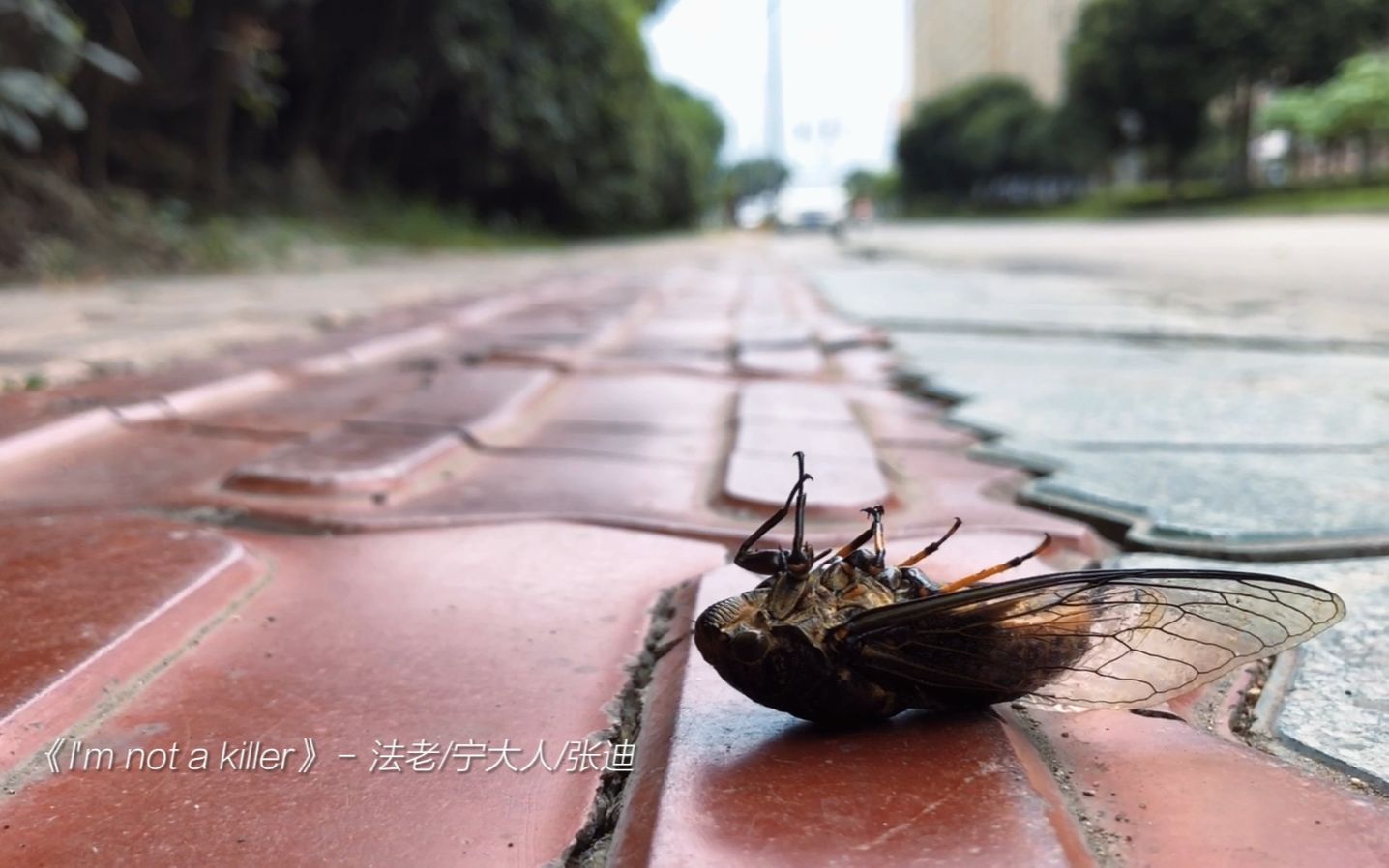 活动作品健身日常多塑造自己少研究别人