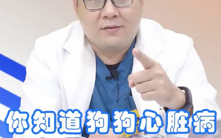 狗狗患心脏病常出现哪些症状?狗狗 宠物知识 科学养宠攻略哔哩哔哩bilibili