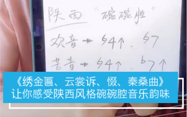 中筝老师孙雅姝 通过《绣金匾、云裳诉、惙、秦桑曲》四首具有陕西风格乐曲,让你感受那种揪心、忧心的碗碗腔音乐韵味!哔哩哔哩bilibili