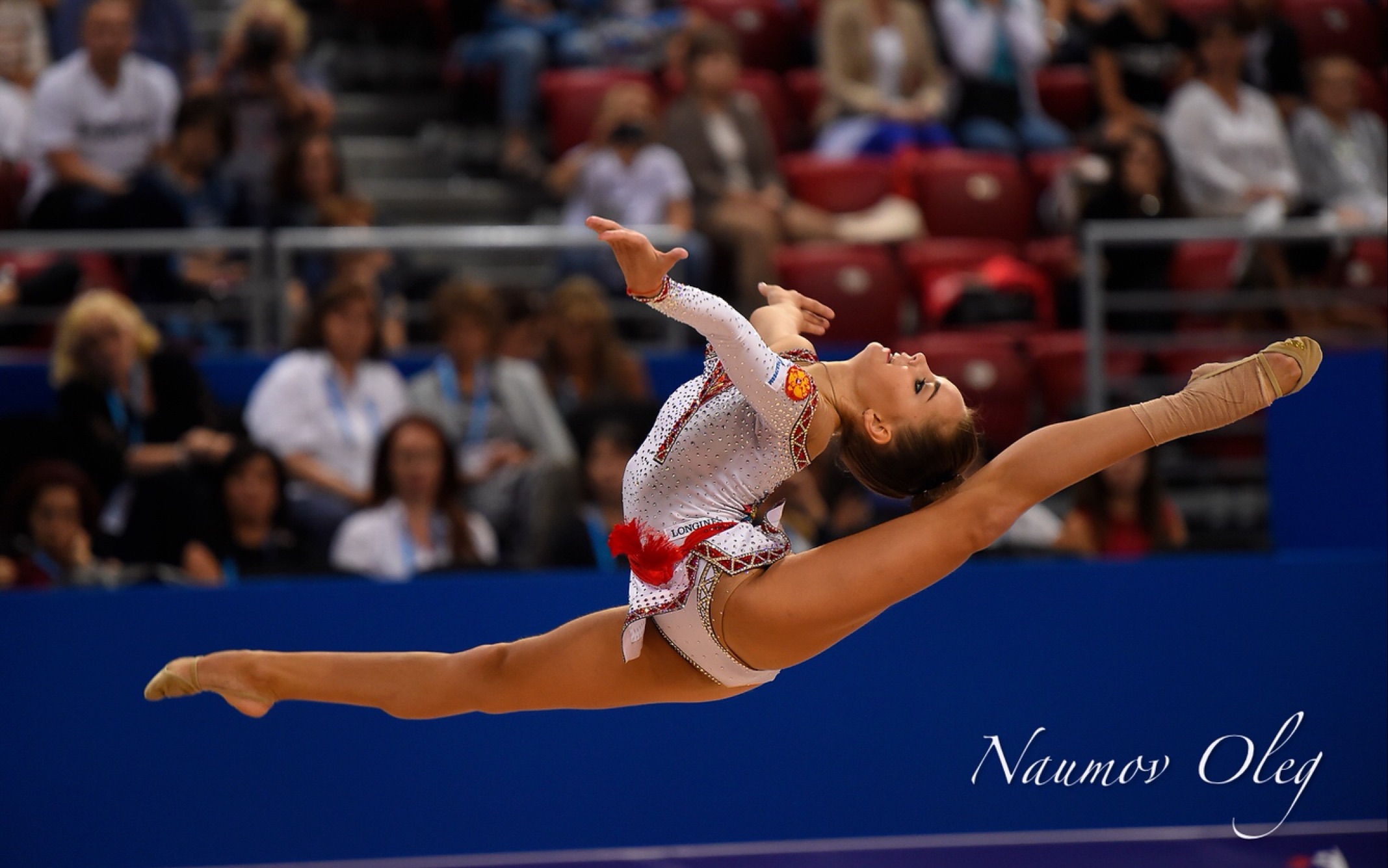 【艺术体操】dina averina 2018~2019年视频合集