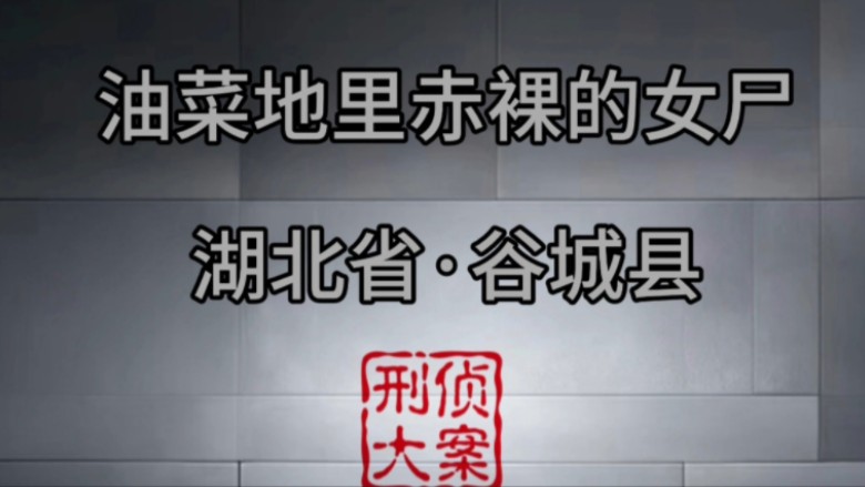 这是发生在湖北省谷城县的一起杀人抛尸案 残忍程度6颗星哔哩哔哩bilibili