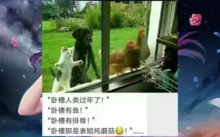 爆笑图集 搜索结果 哔哩哔哩 Bilibili