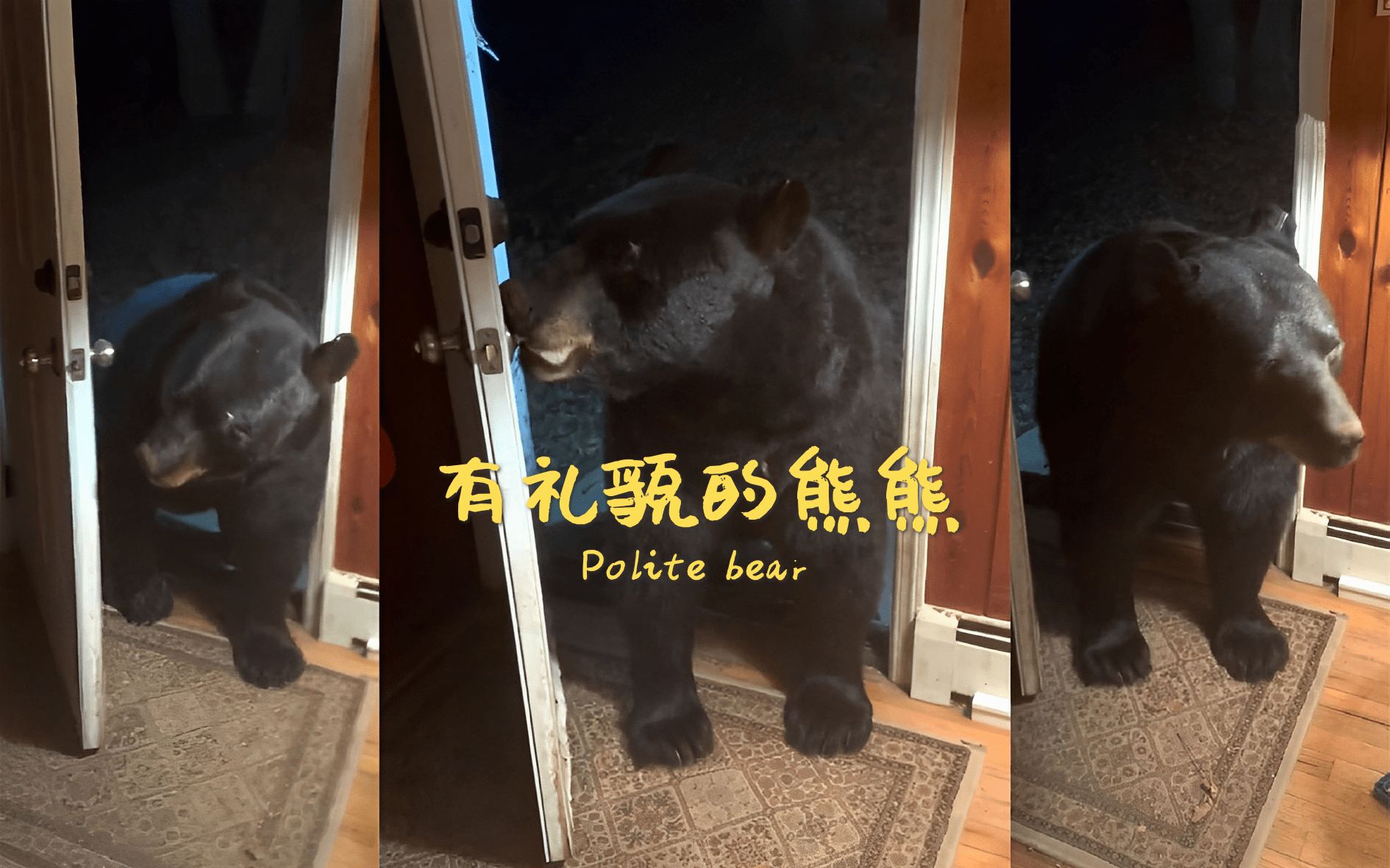 [图]🐻：“oops，进错门了，我马上出去”