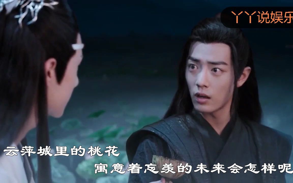 《陈情令》解析:云萍城里粉色的桃花,代表了忘羡怎样的未来?哔哩哔哩bilibili