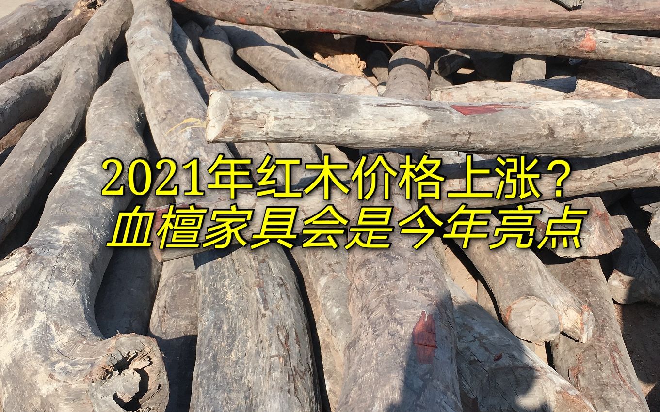 今年红木价格继续上涨?血檀家具会比红木家具好卖?大家说说看哔哩哔哩bilibili