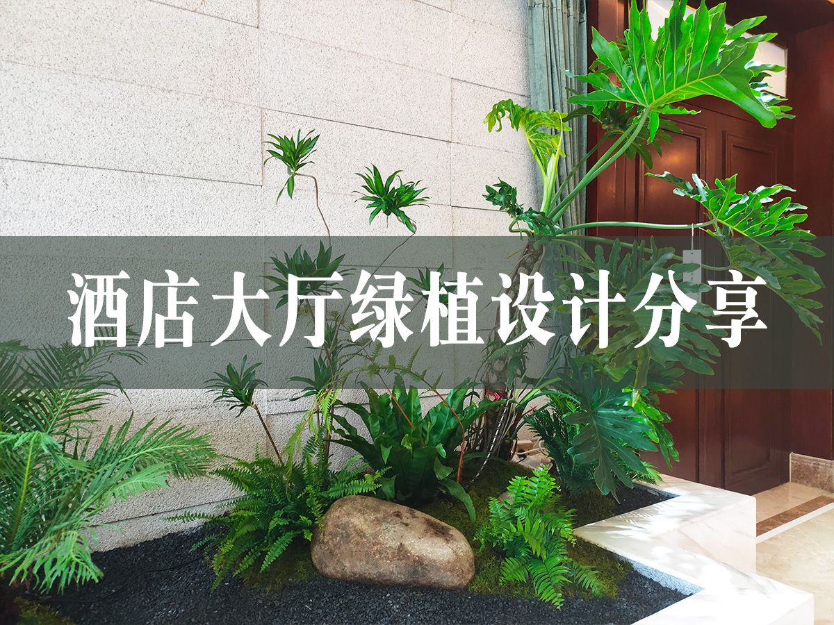 植物搭配|酒店大厅绿植设计分享~哔哩哔哩bilibili