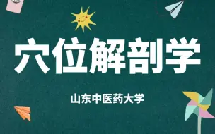 Download Video: 《穴位解剖学》-针灸经络穴位学习必看课程(完整版)