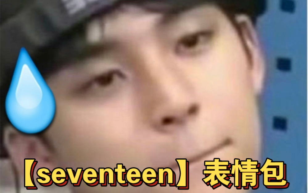 【seventeen 】表情包,金小葵的比较多嘿嘿嘿哔哩哔哩bilibili