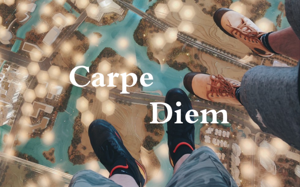 [图]Carpe Diem // Mystery Diary