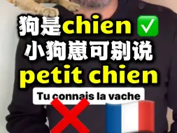 【法语】狗是chien 小狗崽可别说petit chien