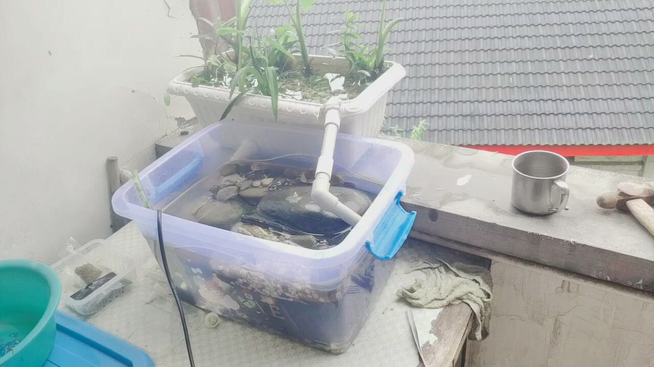 按b站教程自制的沼泽过滤