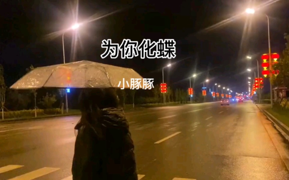 [图]歌曲《为你化蝶》小豚豚