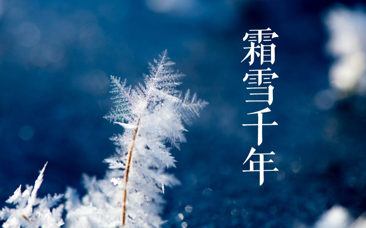 【ai/平川大辅】霜雪千年(原唱:排骨教主)