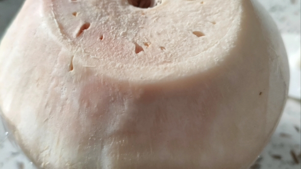 第一次买到坏椰子