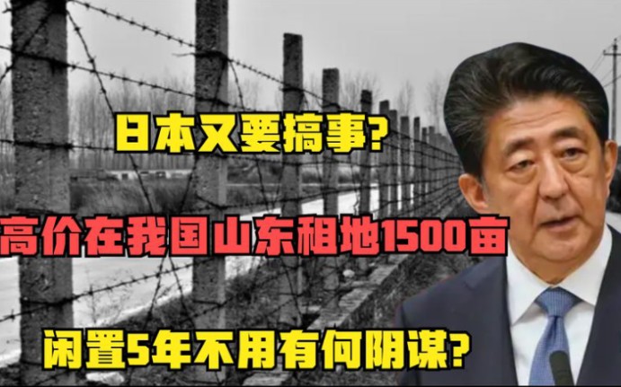 日本又要搞事?高价在我国山东租地1500亩,闲置5年不用有何阴谋哔哩哔哩bilibili