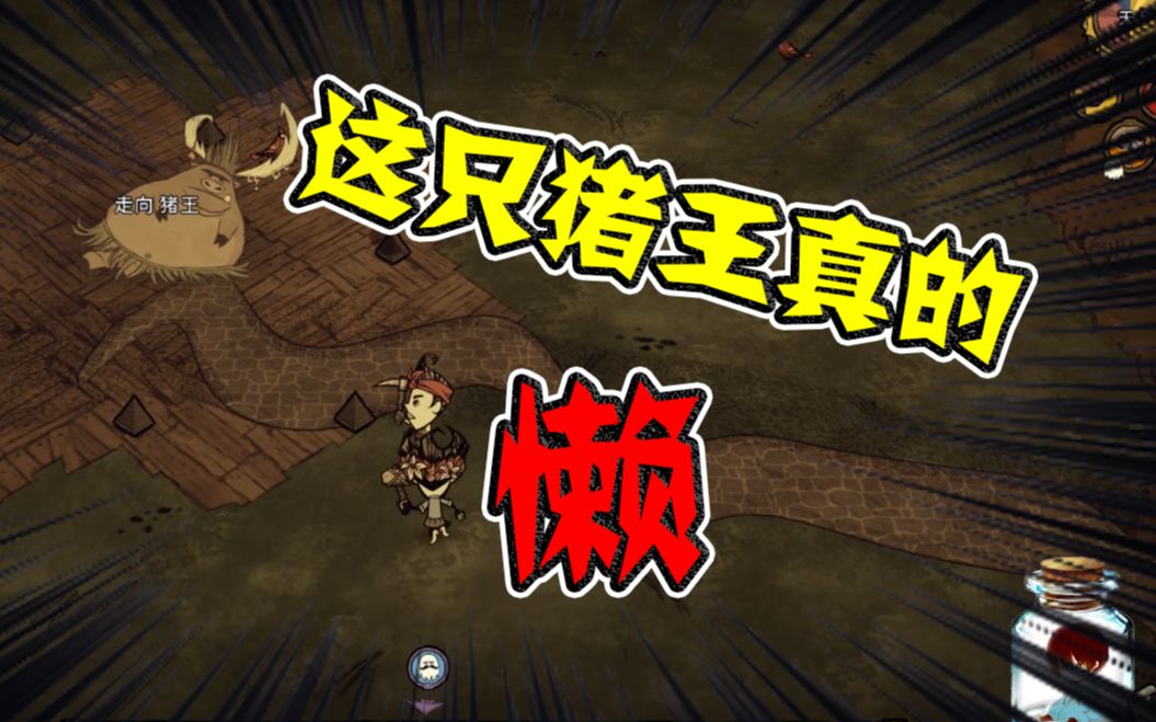 饥荒联机生存出发新营地之发现懒惰的猪王