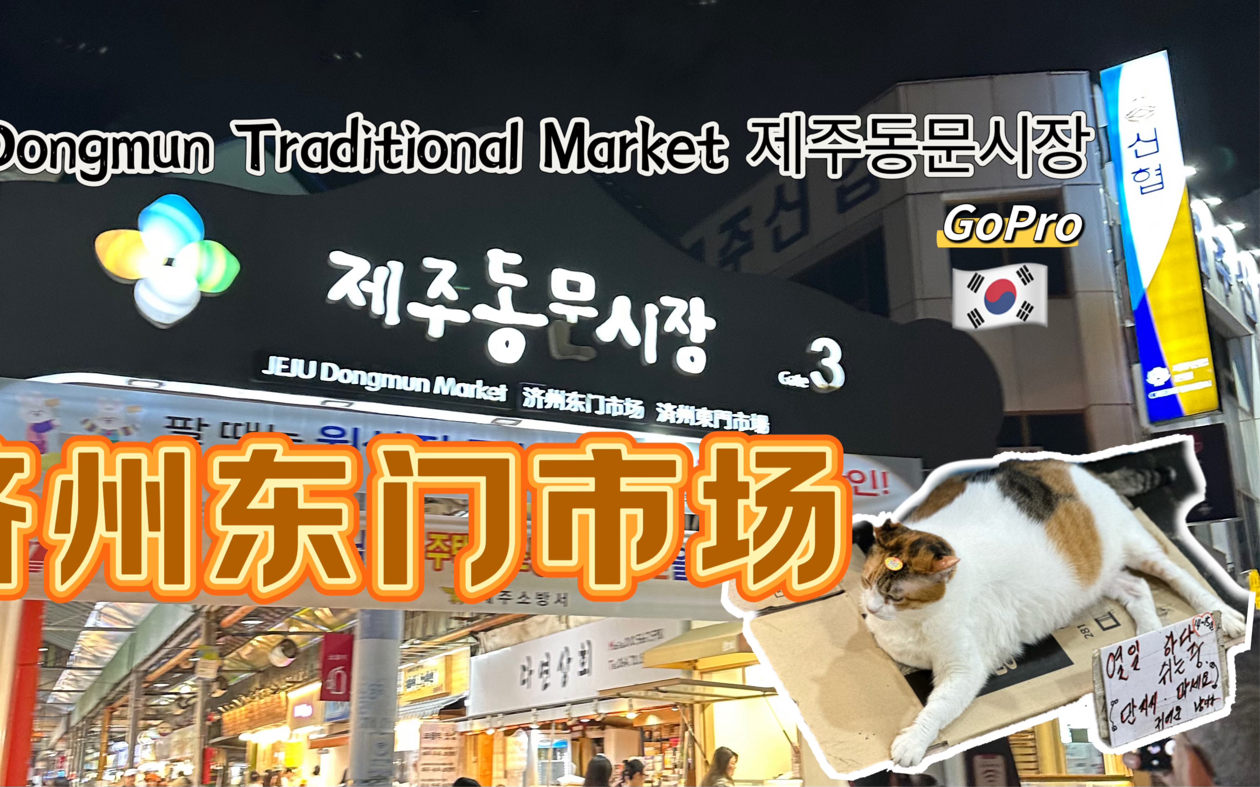 济州岛东门市场dongmun traditional market 【韩国6】夜市|gopro