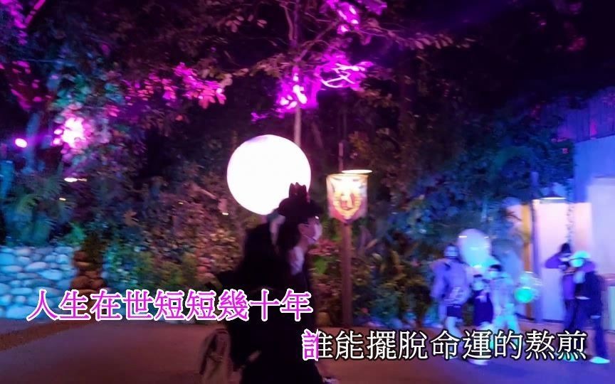 [图]DJ版【想想走过的这些年】~夜游万圣节的香港迪士尼乐园