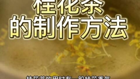 喝桂花茶有什么好处 可以天天喝吗 这些你了解过吗 哔哩哔哩