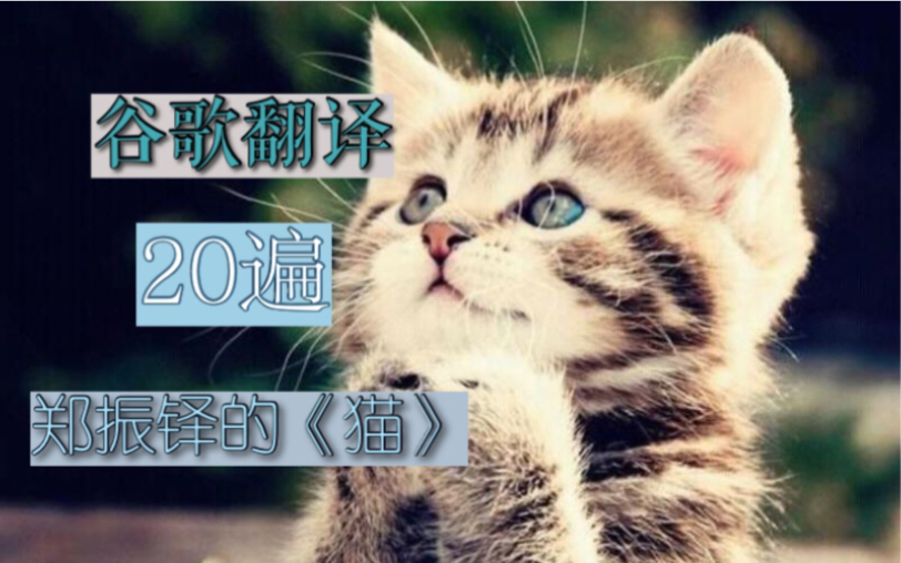 [图]谷歌翻译20次郑振铎的《猫》 全程高能！