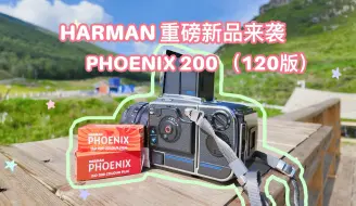 Download Video: 当PHOENIX200遇上仲夏之森｜胶片摄影｜中画幅｜哈苏｜HARMANPHOTO