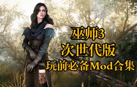 《巫师3》次世代版必备Mod合集