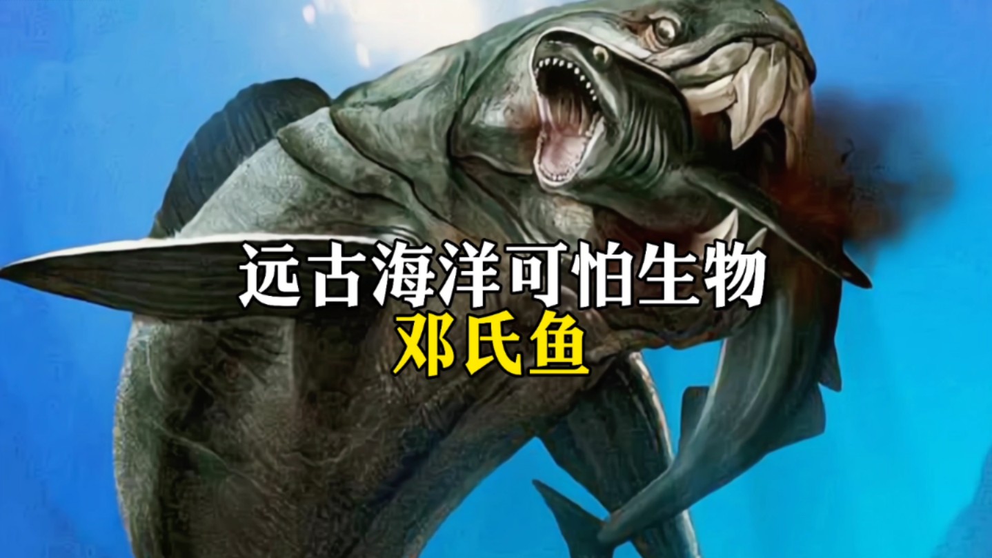 远古海洋可怕生物邓氏鱼