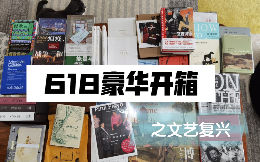 [图]618豪华开箱（上）| 文艺复兴的盛宴！博斯+但丁+莎士比亚+塞万提斯