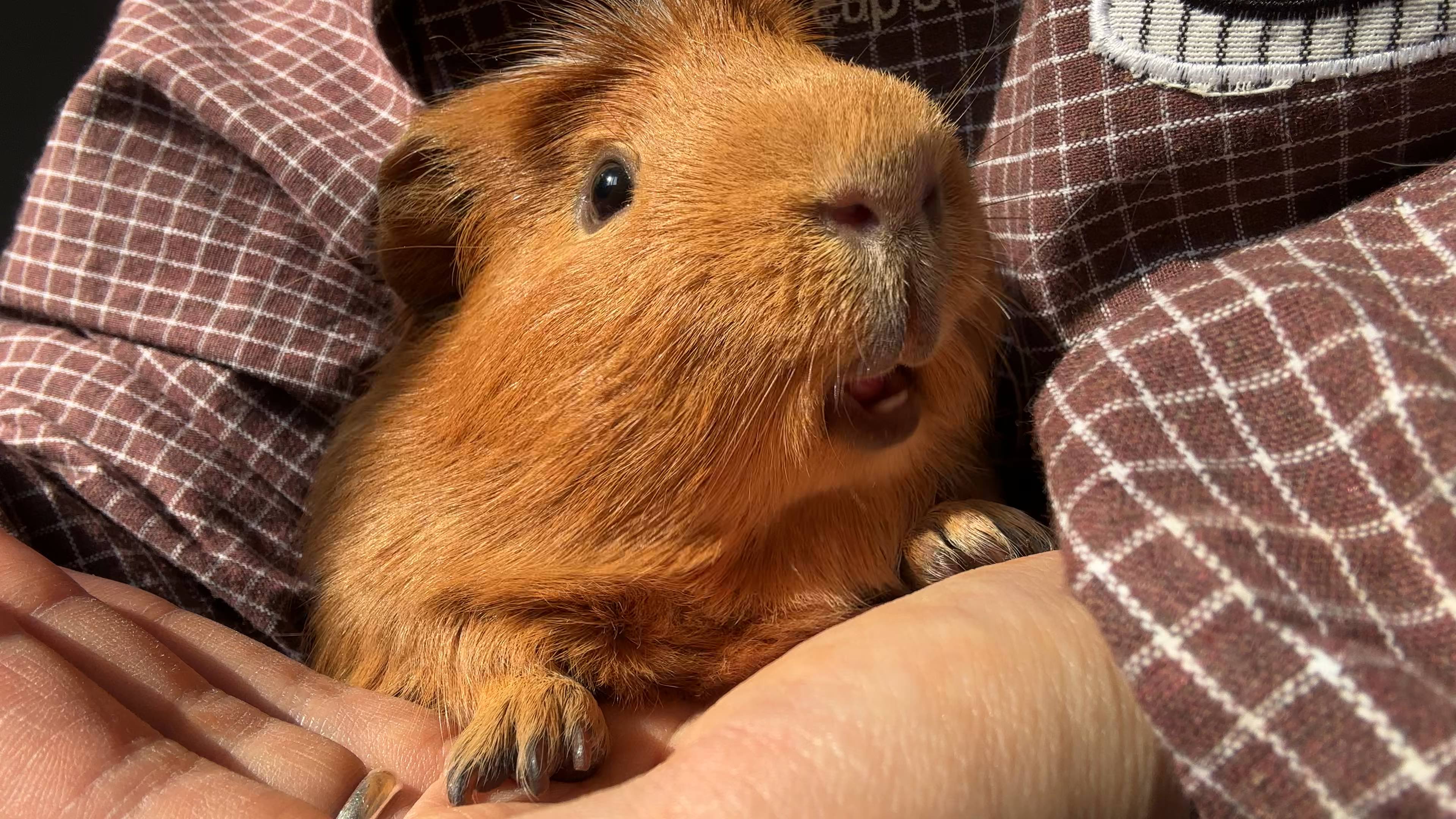 保持麦色肌肤的秘诀是日光浴