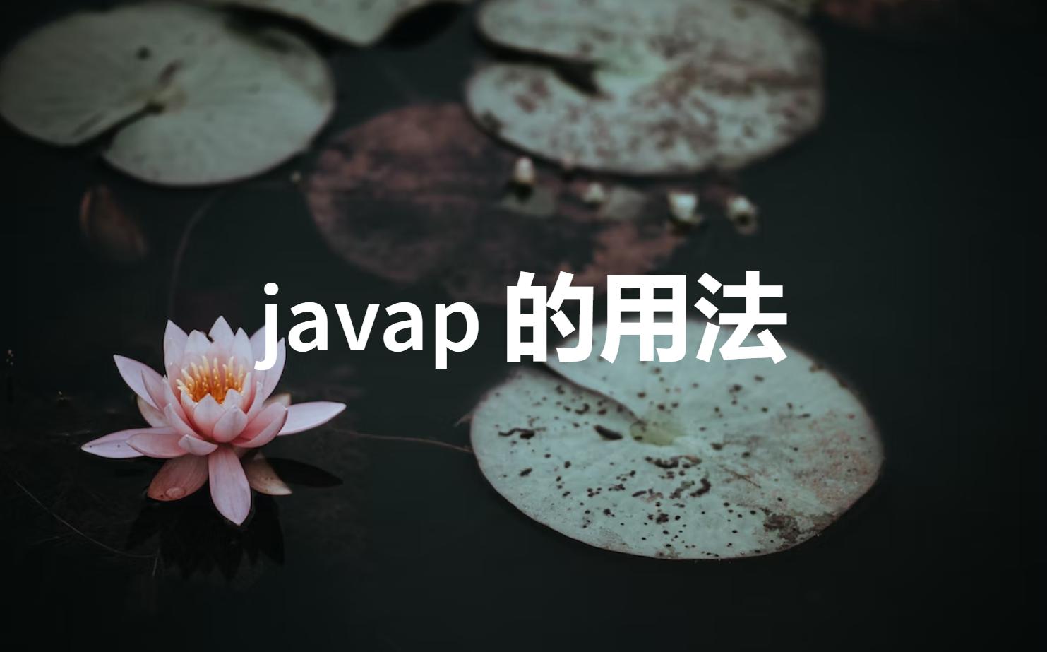 JDK 工具 javap 的用法哔哩哔哩bilibili