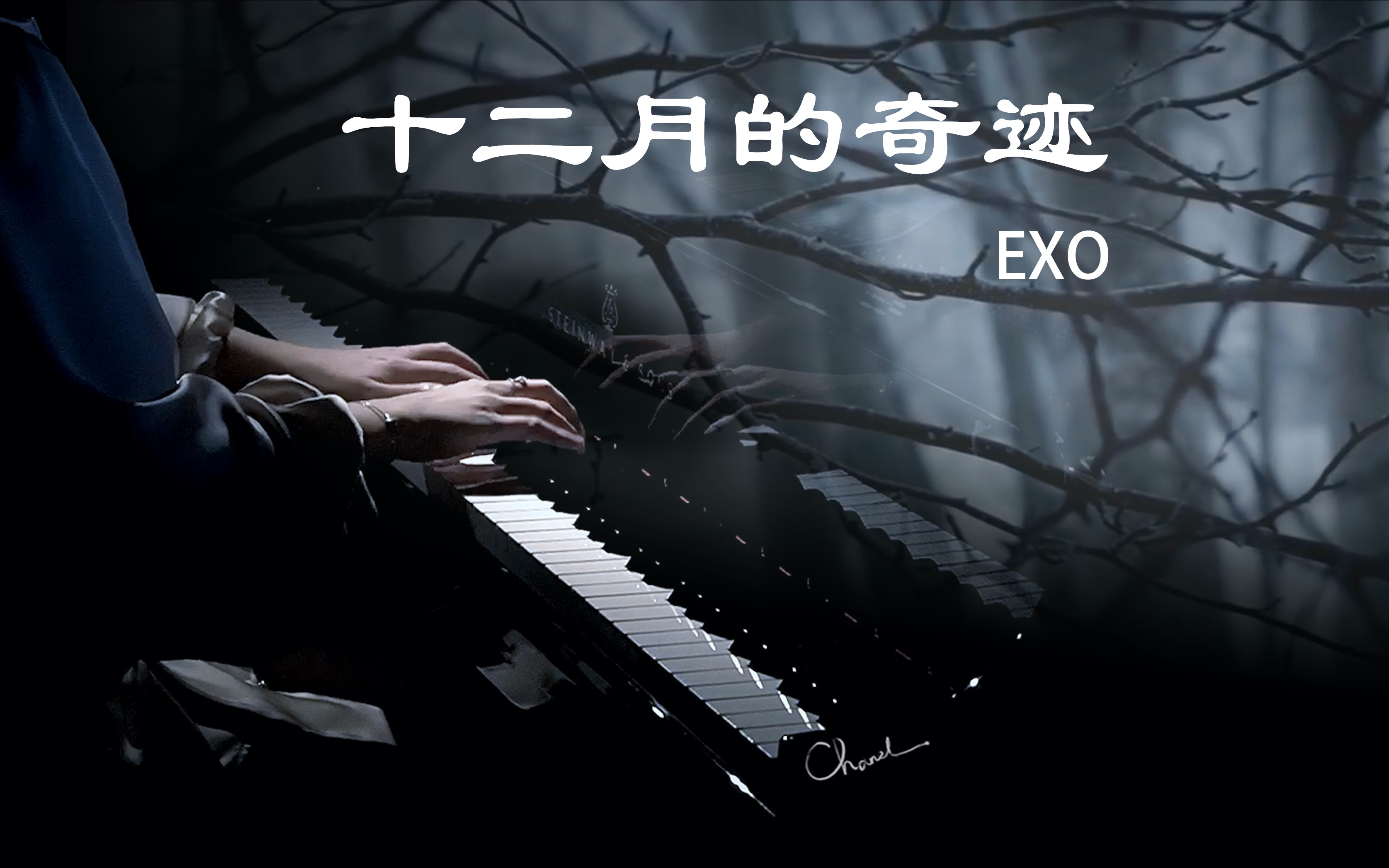 十二月一定要听的钢琴曲《十二月的奇迹EXO》哔哩哔哩bilibili