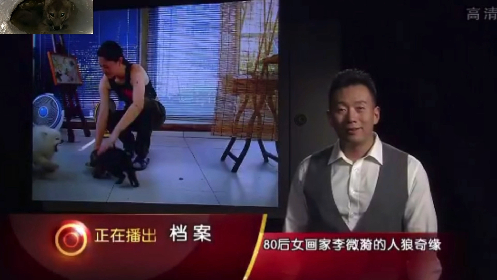 档案: 李微漪的人狼奇缘 完整版-元气满满的古灵精怪-生活在别处🌌🎠🎡🎢 -哔哩哔哩视频