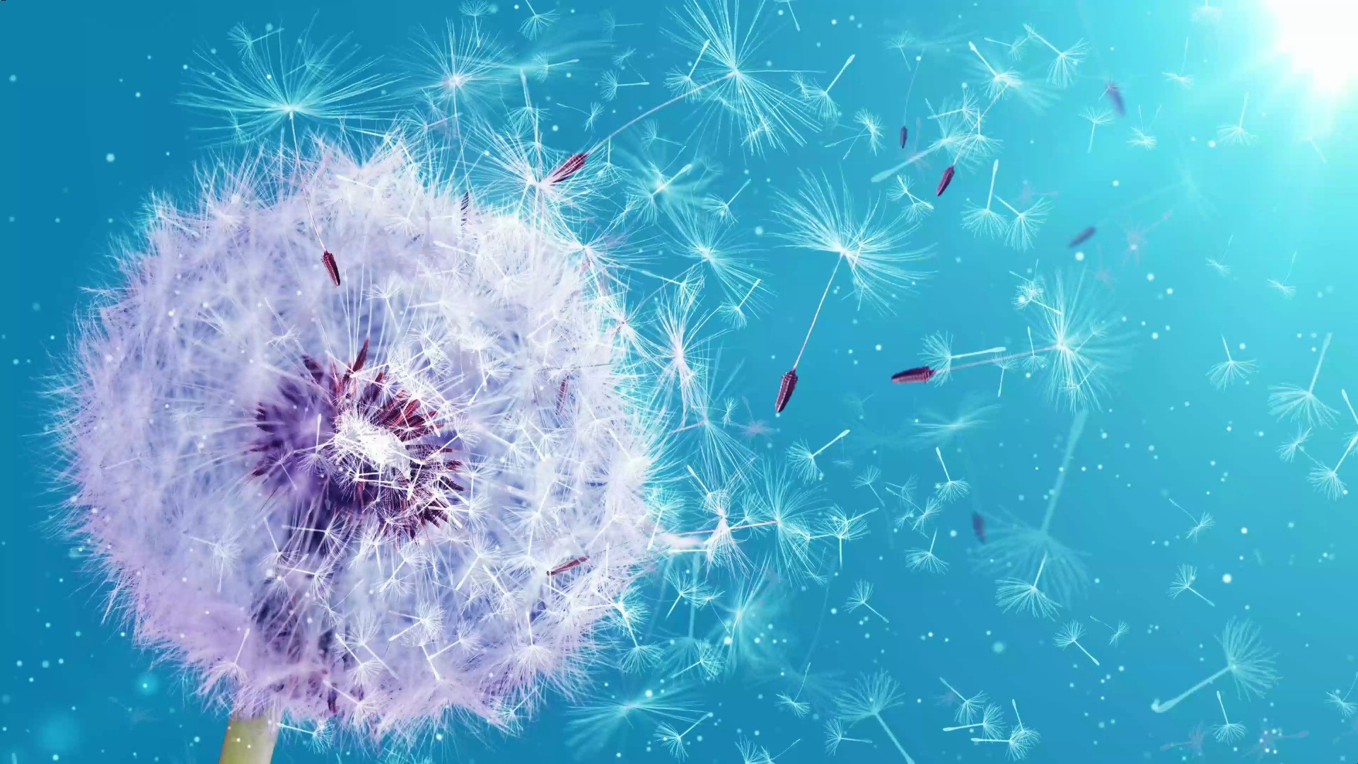 张惠妹血腥爱情故事配乐4k舞台背景