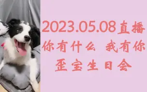 Tải video: 【奉天承芸】你有什么，我有你&歪宝生日会‖20230508芸姐直播天草相关cut